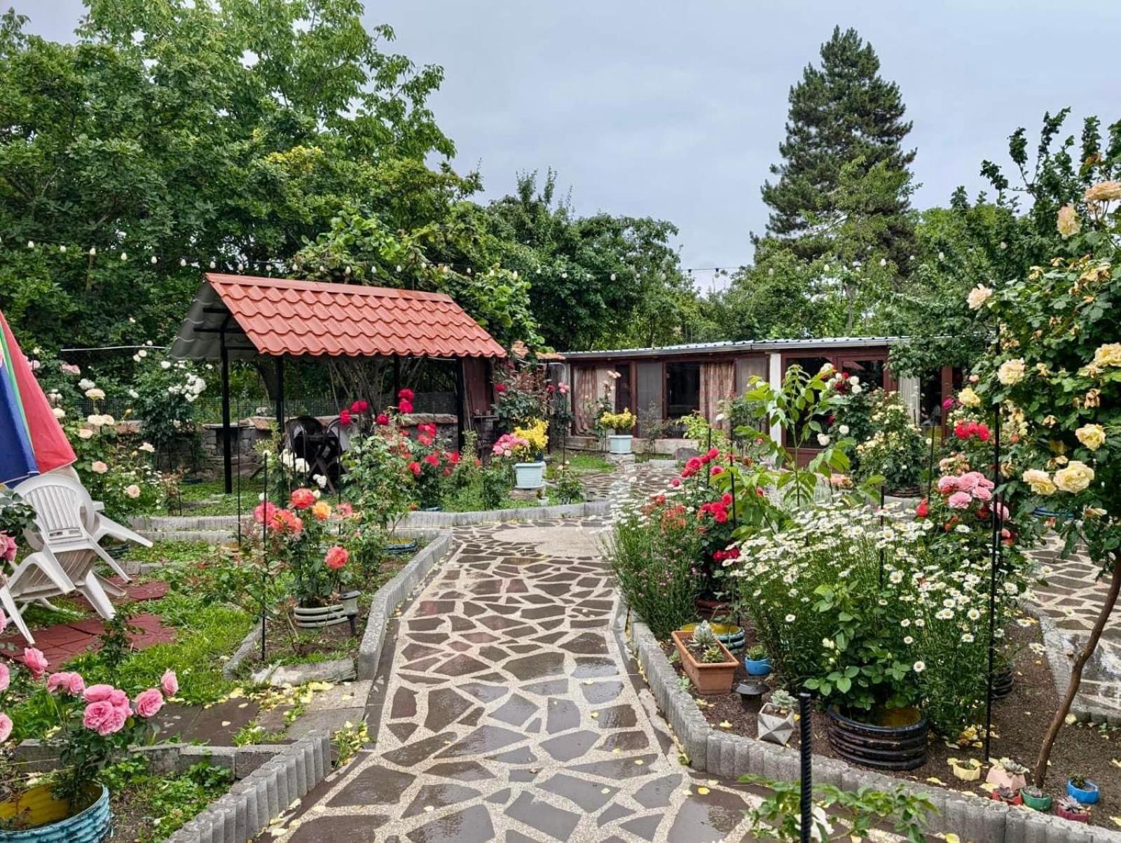 Artist'S House Hotel Tetritskaro Exterior photo